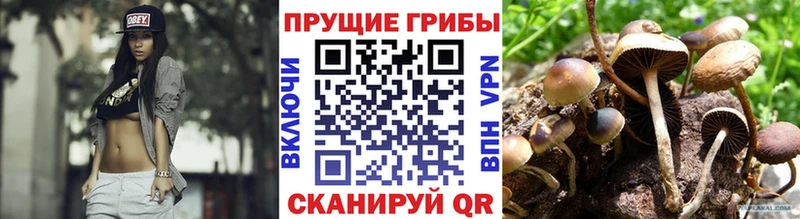 Псилоцибиновые грибы Magic Shrooms  Александровское 
